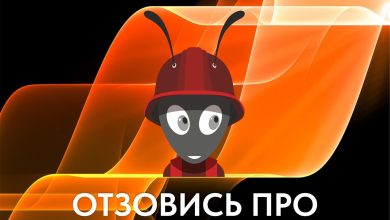 Photo of Удобство использования сервиса Otzovis